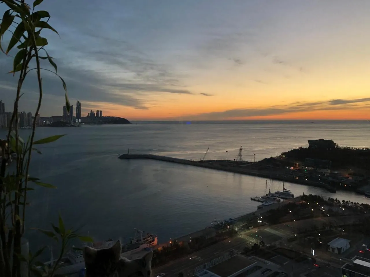 Homestay Busan Yongho Dong W Apt Hotel